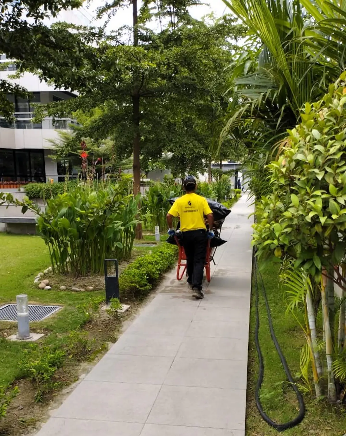 A Garbageman worker transporting collected material through an organization site